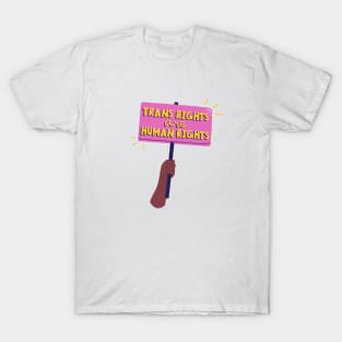 trans rights T-Shirt